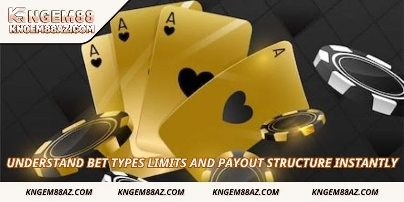 Understand bet types limits and payout structure instantly