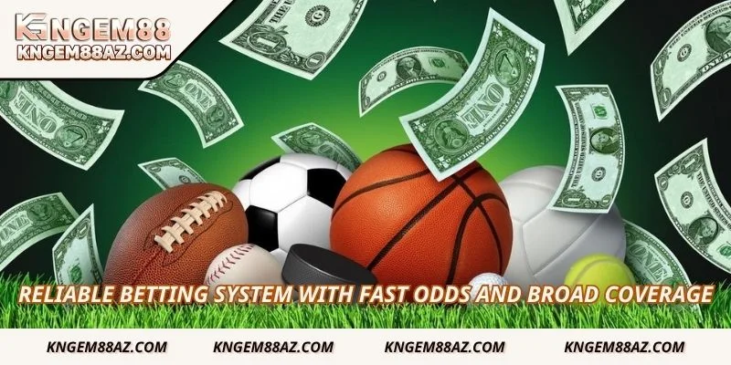 Reliable betting system with fast odds and broad coverage
