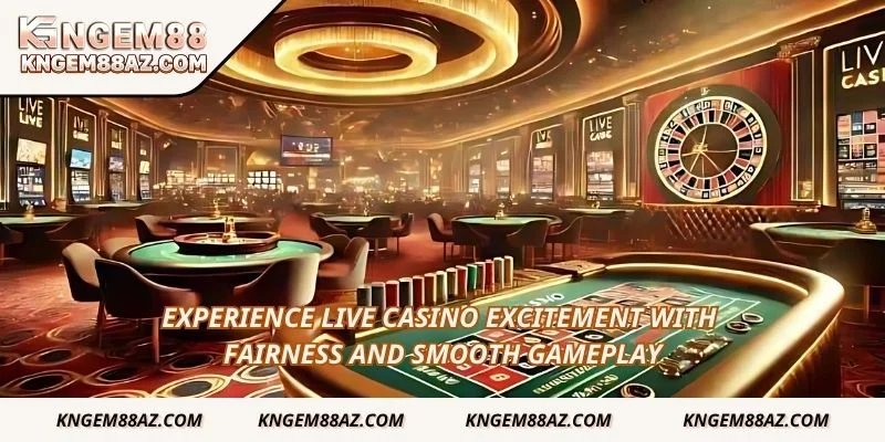 Experience live casino excitement with fairness and smooth gameplay