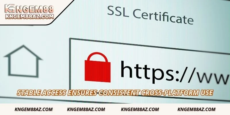 Stable access ensures consistent cross-platform use