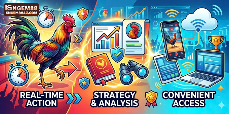 Why Players Choose FB777 Cockfighting